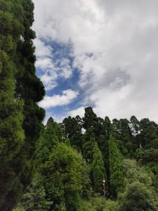 কার্শিয়াং, এক মায়ানগরী।