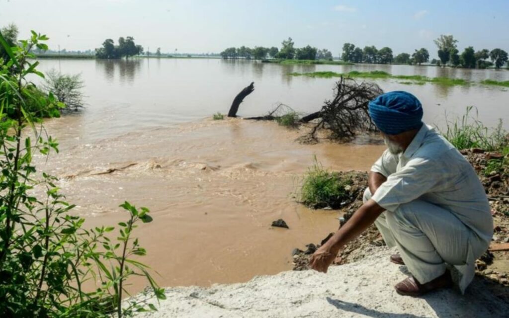 Punjab Flood Disaster